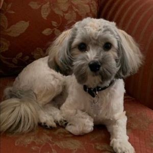 Meet your Posher, Rick